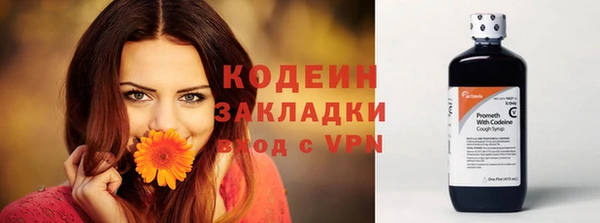 эйфоретик Кодинск