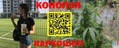 СК Краснодар