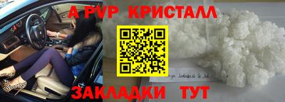СК Краснодар