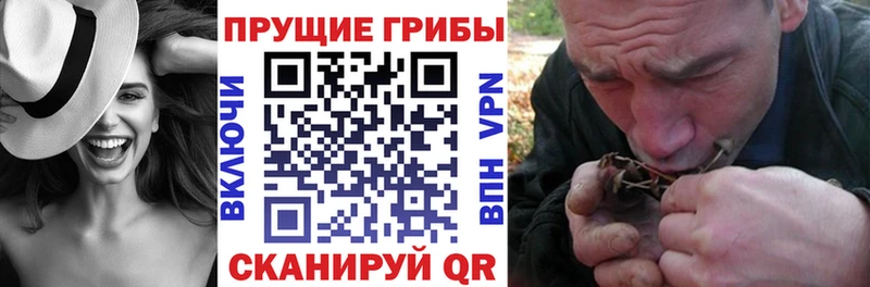 Галлюциногенные грибы прущие грибы  закладки  Михайловка 