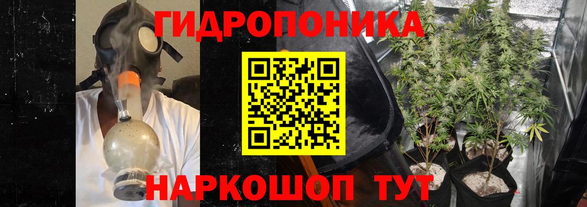 Конопля Ganja Михайловка