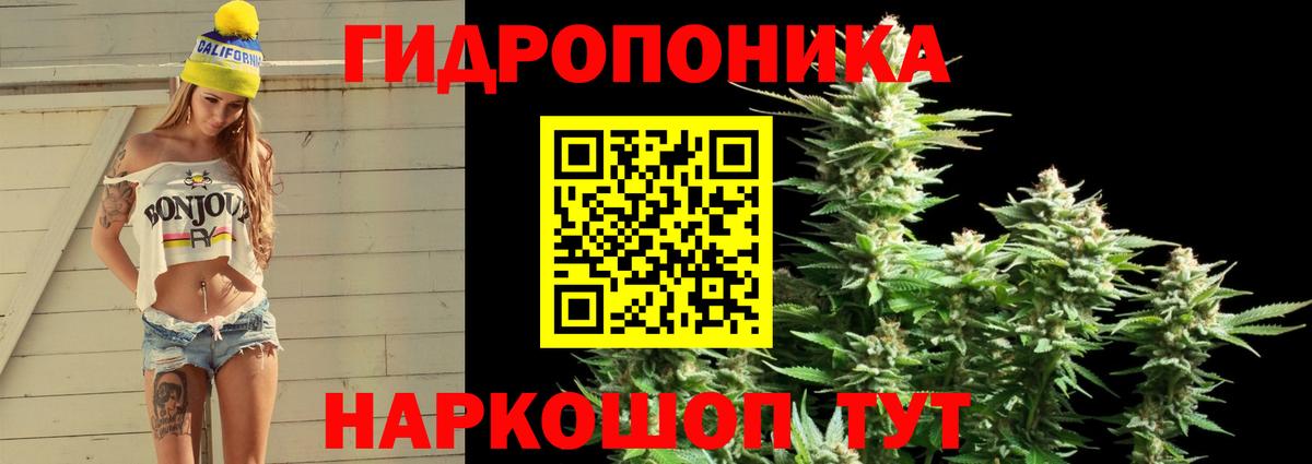 МАРИХУАНА план  Вход с VPN  МАРИХУАНА семена  Михайловка 